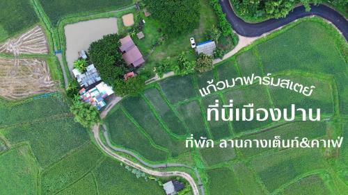 Mueang Pan Other | Kaewma farmstay
