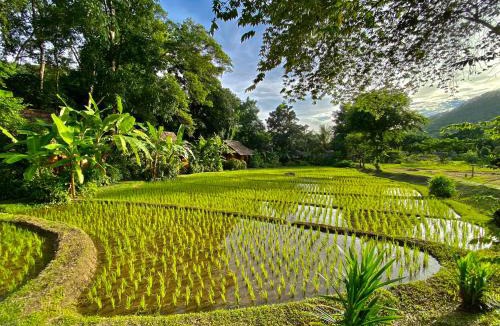 Mae Hong Son Resort | Fern Resort Mae Hong Son