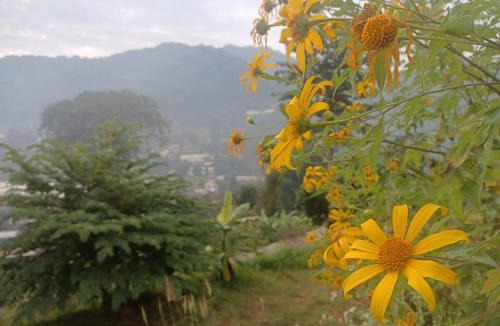 Pong Yaeng House | Mon View Doi