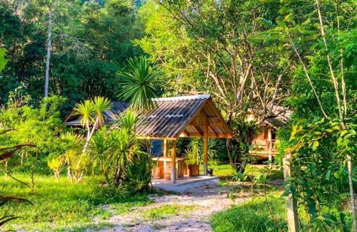 Phanom House | Toh Tao Homestay