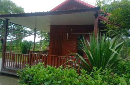 Nong Phai Bed & Breakfast | The Green Vale B&B