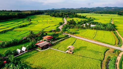K. Phu Pieng House | Na mong Homestay