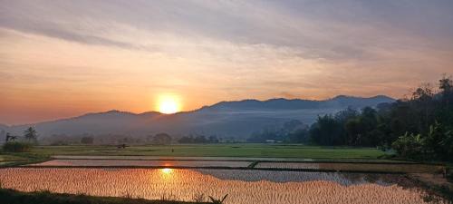 Mueang Pan Other | Kaewma farmstay