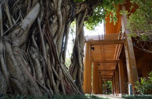 Tak Resort | Vanasin Residence
