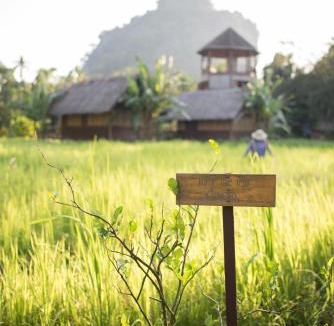 Khlong Sok Resort | Our Jungle Camp - Eco Resort
