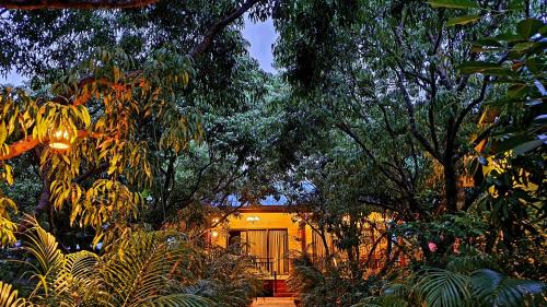 Amphawa House | Warakorn Baansuan Amphawa