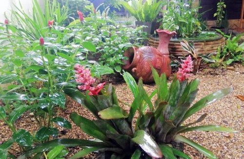 Doi Hang Resort | Homestay Chiangrai