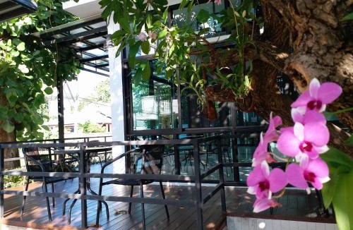Phitsanulok Hotel | Areena Hotel Phitsanulok