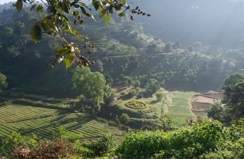 Mae Suai Resort | เลาลีฮิลล์รีสอร์ท Laulee hill resort