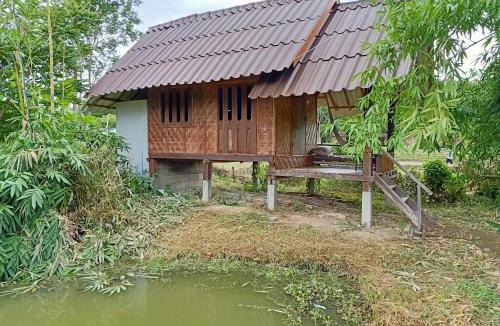 Pai Cabin | Yawning Fields