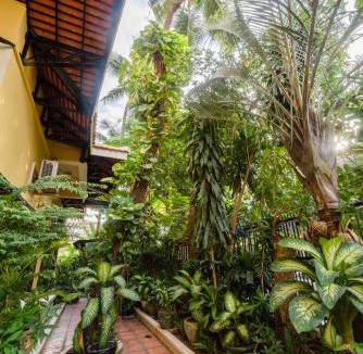 Tuol Kouk Hotel | City View Apartment
