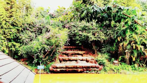 Phu Ruea Resort | Rayong Phurua Resort ระยองภูเรือรีสอร์ท