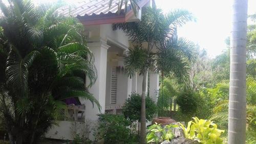 Bamboo Resort in Khanom