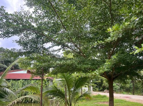 Ao Luek Hideaway in Ao Luek