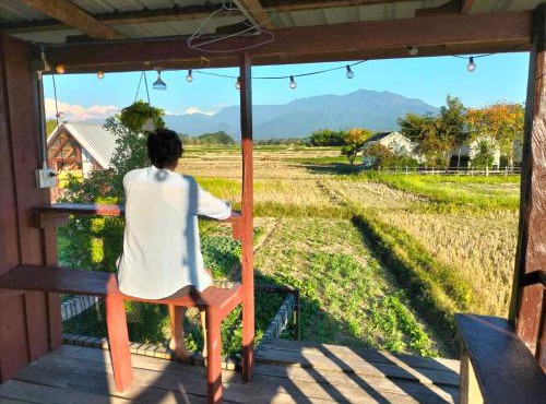 Ricefield Homestay มองนาภูคาน่านโฮมสเตย์