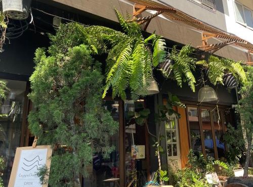 Suthep Gate Hostel in Chiang Mai