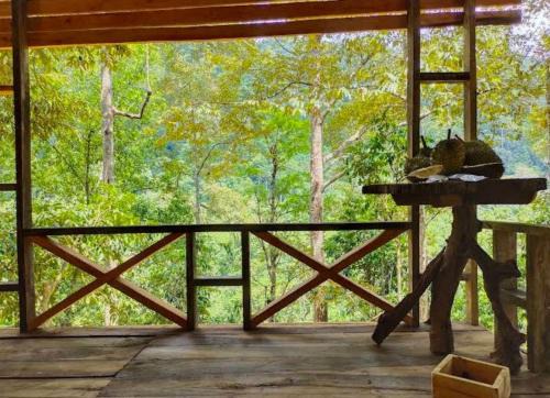 Kuling Camping in Satun