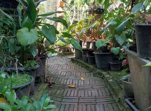 Baan Baan Cozy Hostel