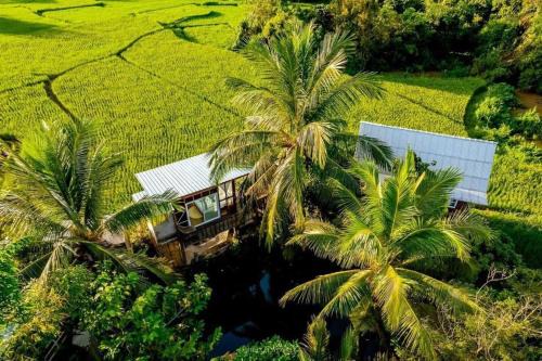 ต้งโฮมสเตย์ กลางทุ่งนา Local Homestay and View in Nan